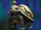खेल Isolated Turtle Escape ऑनलाइन