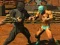 खेल Fighter Legends Duo ऑनलाइन