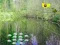 खेल Sunlight Forest Adventure ऑनलाइन