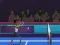 खेल Badminton Brawl ऑनलाइन