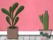 खेल Find Houseplant ऑनलाइन