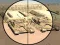 खेल Camo Sniper ऑनलाइन