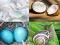 खेल 4 Pics 1 Word Game ऑनलाइन