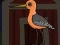 खेल Cute Godwit Escape ऑनलाइन
