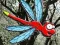 खेल Escape From Dragonfly Forest ऑनलाइन