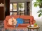 खेल Wakeup The Grandpa ऑनलाइन