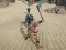 खेल The Scythian Warrior ऑनलाइन