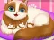 खेल Cute Kitty Pregnant ऑनलाइन
