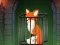 खेल Fox in the Forgotten Ruins ऑनलाइन