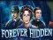 खेल Forever Hidden ऑनलाइन