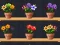 खेल Good Flower Master ऑनलाइन