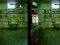 खेल Robot Bar Spot the differences ऑनलाइन
