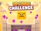 खेल Sponge Challenge ऑनलाइन