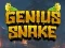 खेल Genius Snake ऑनलाइन