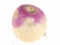 खेल Turnip ऑनलाइन