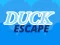 खेल Duck Escape ऑनलाइन