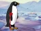 खेल Heal the Wounded Penguin ऑनलाइन