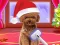 खेल Christmas ASMR Makerover Salon ऑनलाइन