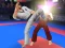 खेल Karate Fighter ऑनलाइन