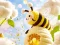 खेल Find The Differences: Little Bee's Adventure ऑनलाइन