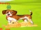 खेल Bunny Key Quest ऑनलाइन