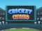 खेल Cricket Craze ऑनलाइन
