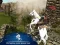 खेल Ertugrul Gazi Horse Sim ऑनलाइन