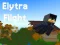 खेल Elytra Flight ऑनलाइन