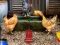 खेल Poultry Farm Easter Escape ऑनलाइन