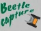 खेल Beetle Capture ऑनलाइन