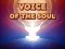 खेल Voice Of The Soul ऑनलाइन