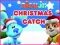 खेल Nick Jr. Christmas Catch ऑनलाइन