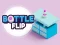 खेल Bottle Flip ऑनलाइन