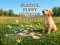 खेल Playful Puppy Outdoor Puzzle ऑनलाइन