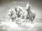 खेल Horses Puzzle ऑनलाइन