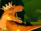 खेल The Dino King ऑनलाइन