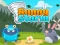 खेल Bunny Storm ऑनलाइन