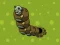 खेल Zombie Worms ऑनलाइन