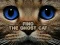 खेल Find the Ghost Cat ऑनलाइन