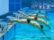 खेल Swimming Pool Race ऑनलाइन