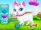 खेल Pet Health Care ऑनलाइन