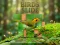खेल Birds Slide ऑनलाइन