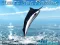 खेल Azure Sea Fishing ऑनलाइन