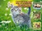 खेल Kittens Jigsaw ऑनलाइन