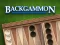 खेल Backgammon ऑनलाइन