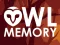 खेल Owl Memory ऑनलाइन