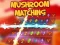 खेल Mushroom matching ऑनलाइन