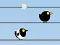 खेल Gone with the Birds ऑनलाइन