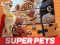 खेल DC League of Super Pets Jigsaw Puzzle ऑनलाइन