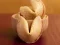 खेल Fortune Cookies ऑनलाइन